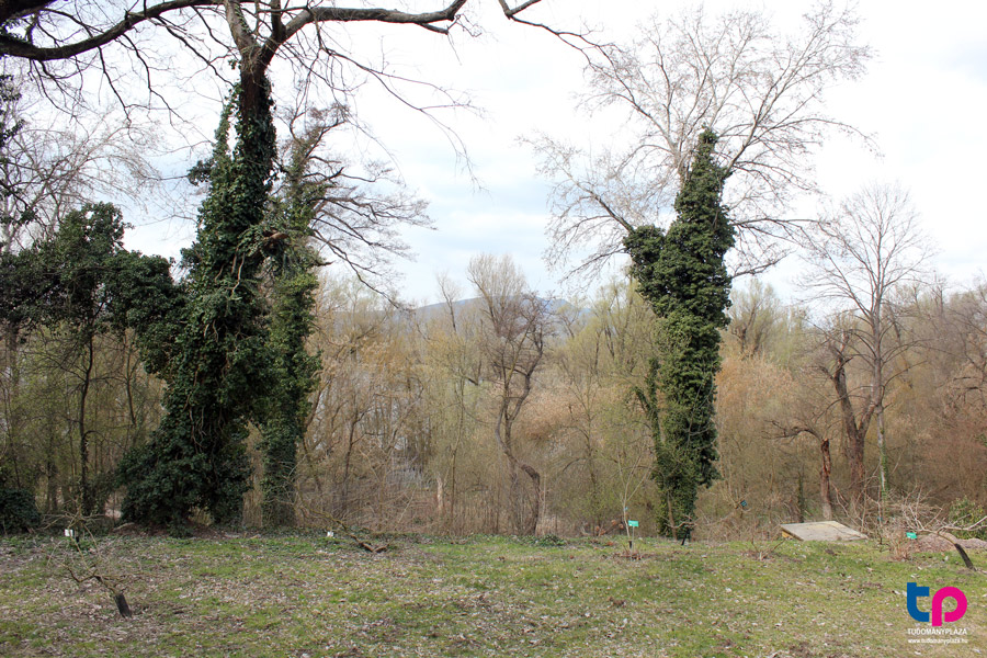 A Huzella kert különlegessége a mikroklímájában rejlik