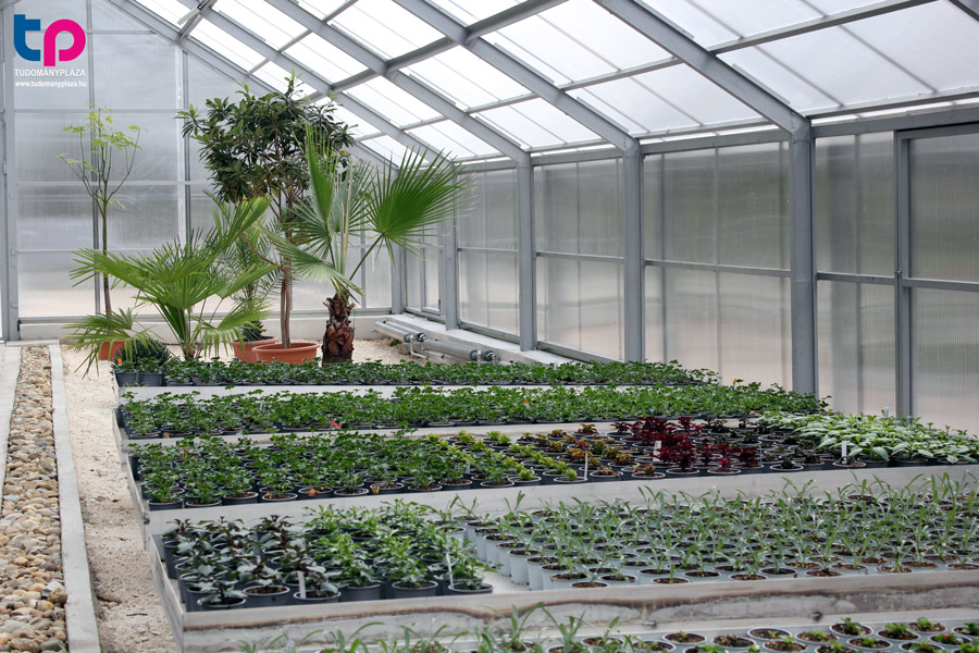 Huzella-kert nem pusztán egy arborétum marad, hanem egy élő örökség