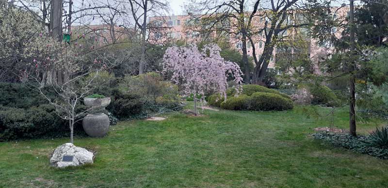 Annak viszont, aki nem tud betelni a virágzó cseresznyefák látványával a

KMASZC Varga Márton Kertészeti és Földmérési Technikum és Kollégium Zuglói Japánkertjének Japánkerti Nap programját ajánljuk!