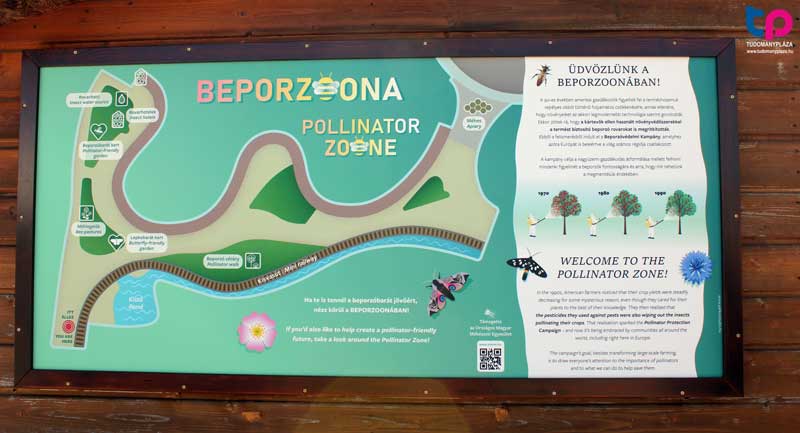 BeporZOOna, vagyis beporzóbarát kert