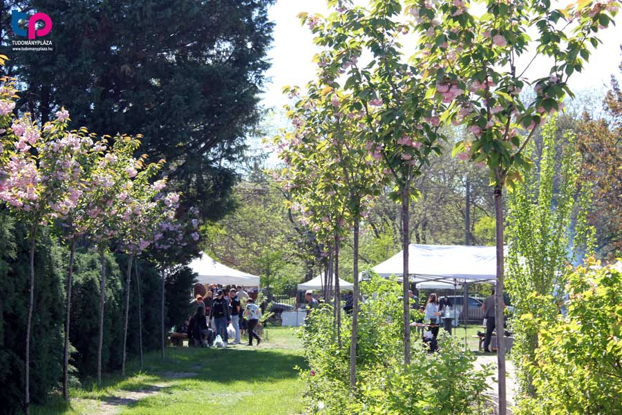 A rendezvény egész napos vásárral és kiállításokkal is kiegészült