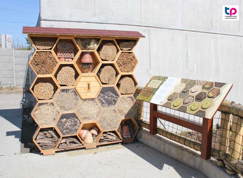 A beporzóbarát kert lényege, hogy ezeket a kerteket – az esztétikai szempontok mellett – a beporzó rovarok igényei szerint alakítják ki.