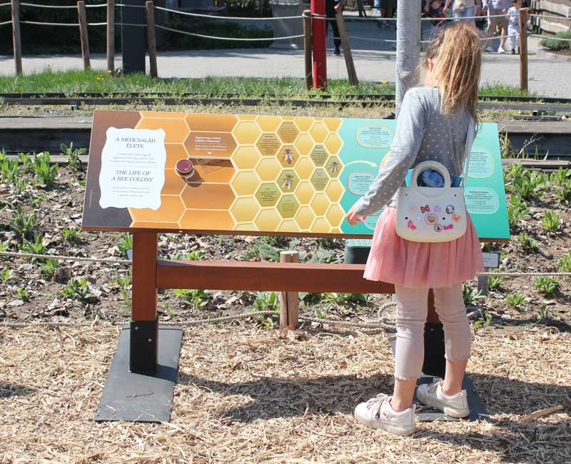 A beporzók védelme fontos téma a kert zoopedagógiai programkínálatában.