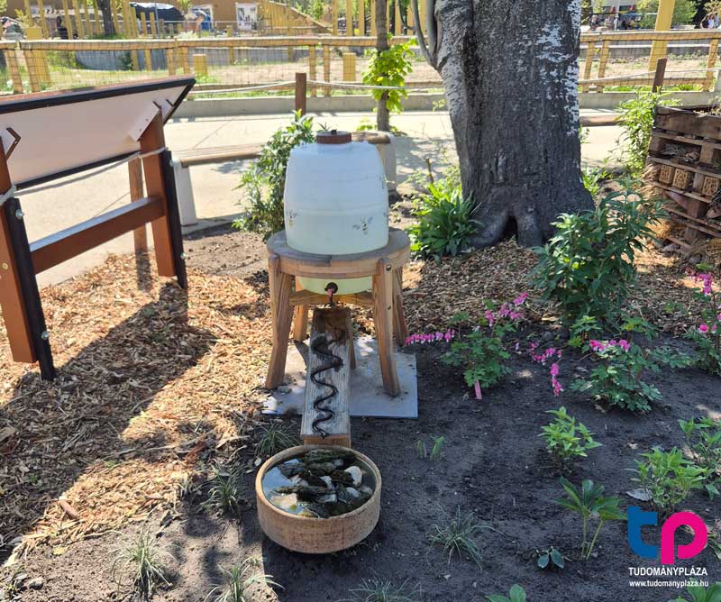 Emellett rovarbarát itatóhelyre is szükség van, ahol a beporzók úgy juthatnak vízhez, hogy nem kell a belepottyanástól és attól tartaniuk, hogy belefulladnak a vízbe.