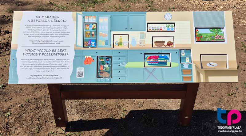 A BeporZOOna része a „Zümmögő sétány”. Ezt a méhekről és a méhészetről szóló tanösvényt az Országos Magyar Méhészeti Egyesülettel együttműködésben alakította ki az állatkert.
