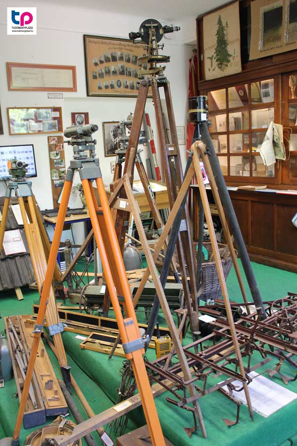 A látogatók részt vehettek japánkerti, iskolakerti és múzeumi vezetéseken