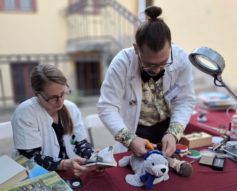 Pár lépésnyire a JPM Természettudományi Múzeumban ismét rendel a közönségkedvenc Plüss Professzor, és segít beazonosítani a különleges „plüssfajokat”.