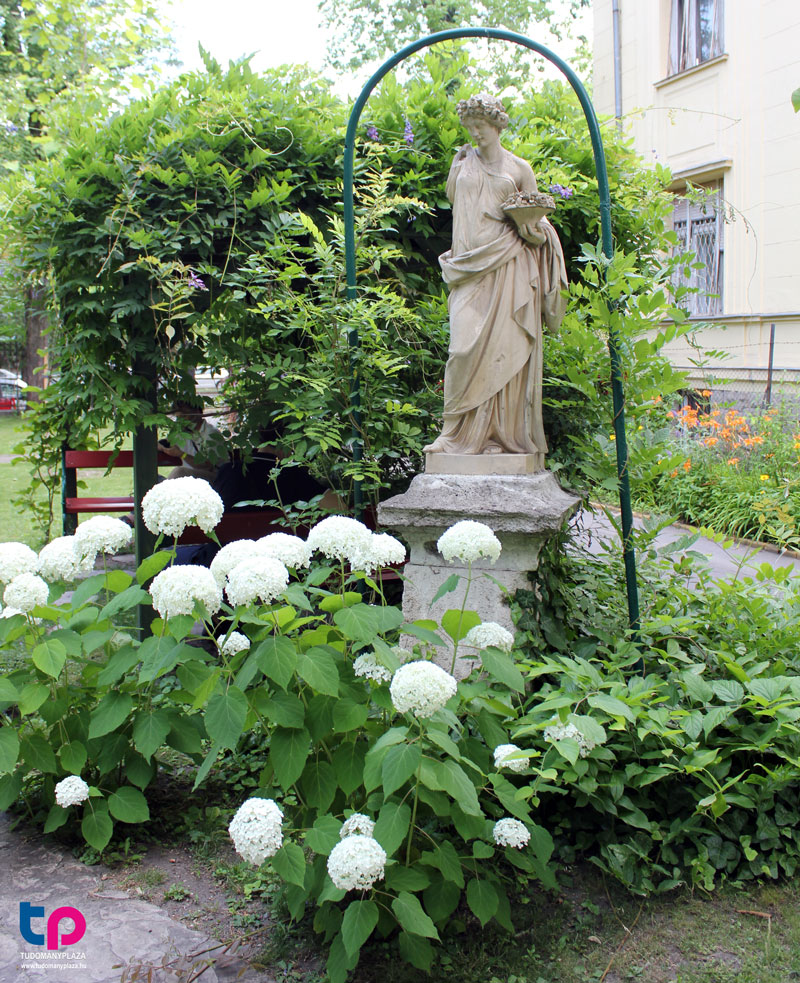 Ha valaki belép a villa kertjébe, akkor jó, ha átérzi annak fontosságát, hogy már csak a Ráth György-villa és annak kertje őrzi igazán a Városligeti fasor 150 évvel ezelőtti hangulatát.