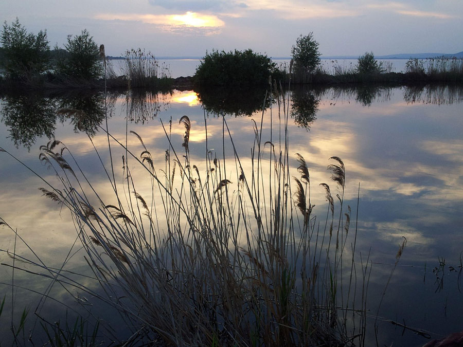 A Balaton jövőjéről szóló vitákban a parti beépítések és a nádasok sorsa is különösen érzékeny kérdés.