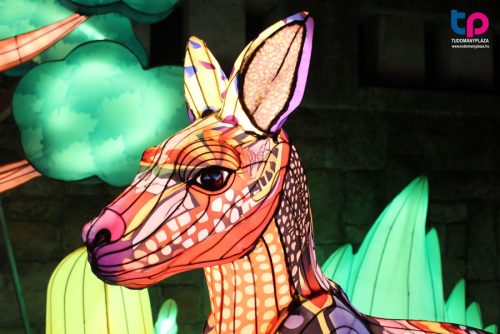 Kenguru - A Világ Állatai Kínai Lampion Fesztivál középpontjában Európa, Ázsia, a Közel-Kelet, Afrika, Dél-Amerika, Észak-Amerika és Óceánia egyes veszélyeztetett állatai állnak.