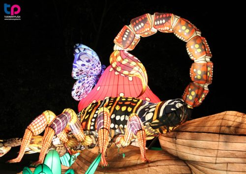 Skorpió - A Világ Állatai Kínai Lampion Fesztivál középpontjában Európa, Ázsia, a Közel-Kelet, Afrika, Dél-Amerika, Észak-Amerika és Óceánia egyes veszélyeztetett állatai állnak.